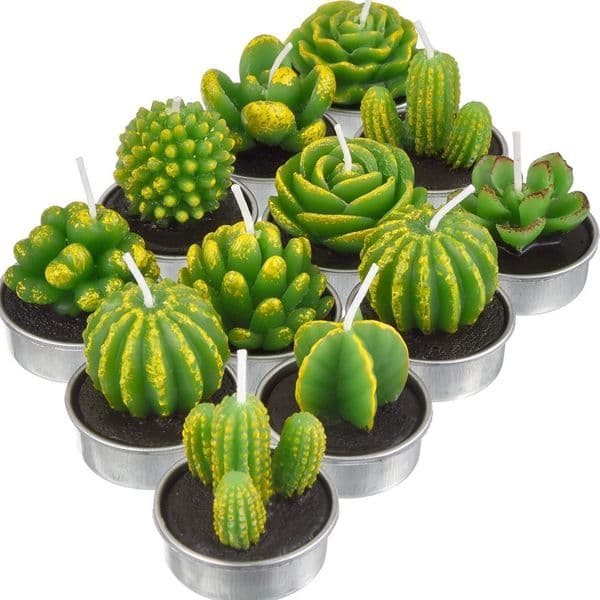 Decoration Miniature Candles Garden A Rare Cactus Plant Simulation Candle Wedding Decoration Holiday Decorations B1 birthday