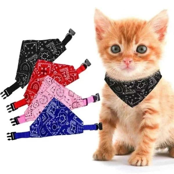 Cute Printed Scarf Cat Collar Adjustable Triangular Pet Scarf Collar with D-Ring Dog Saliva Towel Pet SuppliesXJ241230