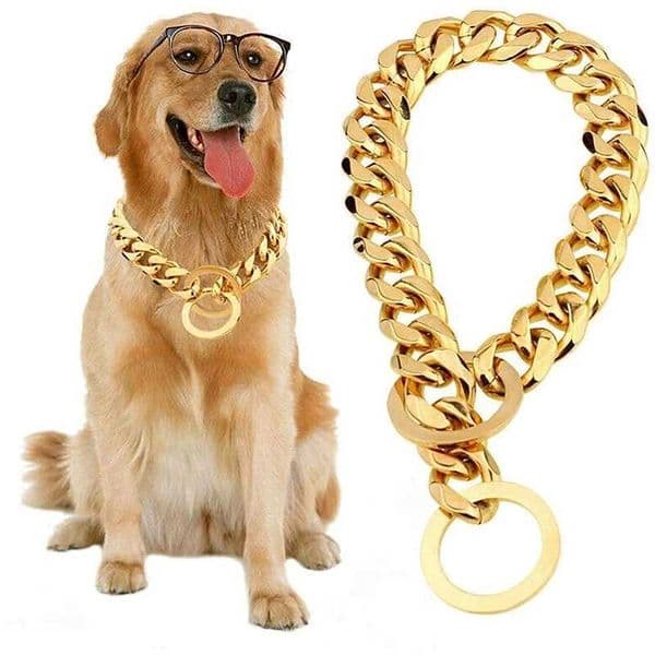 Gold Dog Chain Stainless Steel Dog Collar Choker Luxury Designer Walking and Traning Metal Necklace for Small and Medium DogsXJ241230