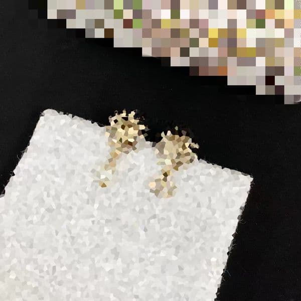 Designer Earrings Women's Jewelry Stud With Gift Box For Party Weddings Gfit Top Jewelry