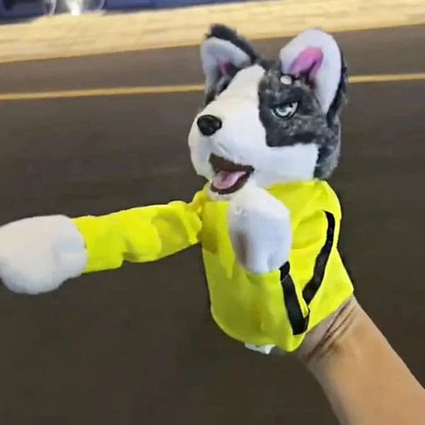Interactive Hand Puppet Prank Animal Doll Boxer Puppet With Sound Boxing Action Playful Dog Puppet For Storytelling Teaching 240709