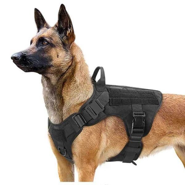 Tactical Dog Harness Military Pet German Shepherd Pet Training Vest Dog Harness and Leash Set for Small Medium Large Dogs Y240803