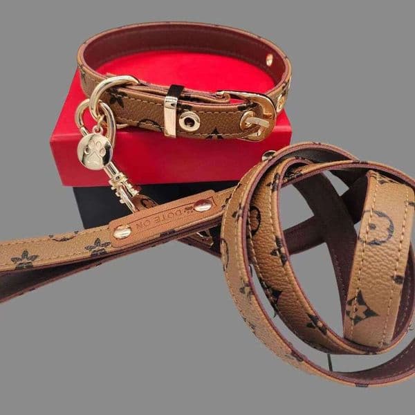 Designer Pet Collar Leash Set Durable Adjustable Walking Dog Neck For Dogs Cats Teddy Schnauzer Walking Dog Strong Neck Cool Cute Pet Cat Necklace
