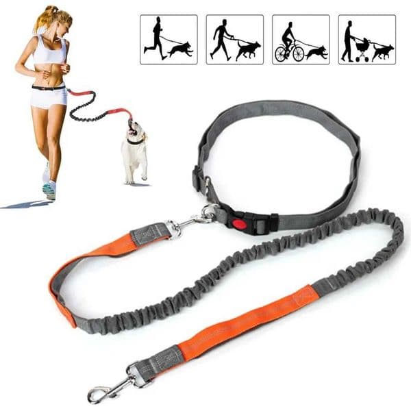Retractable Dog Leash with Adjustable Waist Rope Hand Free Running Jogging Cycling Big Dogs Pet Elasticity Lead Pet Supplies Y240803