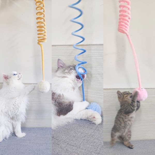 Cat toy self-hi suction cup spring fur ball cat teaser stick retractable hanging swing cat toy pet supplies