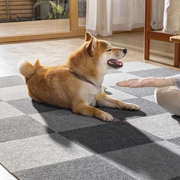 15/30pcs Self Adhesive Carpet Tiles for Living Room Home and Pets Peel and Stick Puzzle Carpets Floor Non-Slip Mat Office 30cm