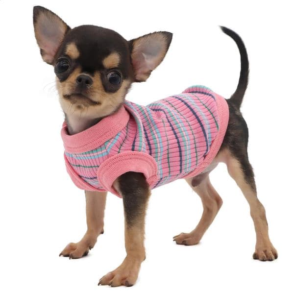Rib Dog Shirt Vest for Small Dogs Chihuahua Puppy Clothes Tank Tee-Pink 240722