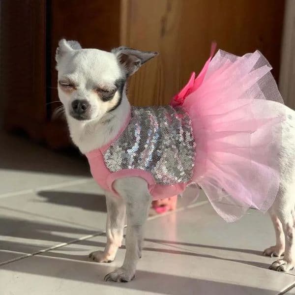 Princess Dog Dress Summer Bright Shirt Tutu Skirt Dog Clothes For Yorkie Chihuahua Shih Tzu Bowknot Wedding Party Puppy Costume 240722