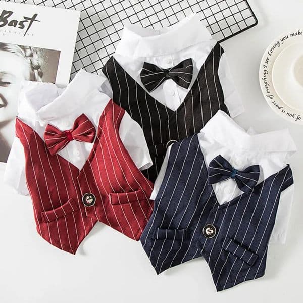 Dog Gentleman Wedding Suit Clothes Bow Tie Halloween Christmas Costume For Small Dogs Teddy Bulldog 240722