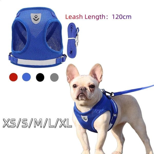 Pet supplies Quality And Set Accessories For Small Chest Harness Dog Leash French Bulldog Pug Medium Supplies 240722