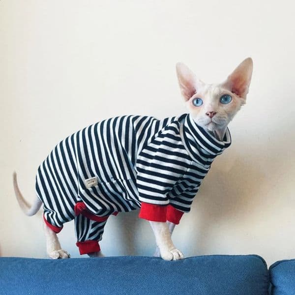 Sphynx Cat Clothes Stretch Black Cotton Coat for Dog Striped Winter Tshirt For Devon Rex Soft 4legged Jumpsuit accessories 240722