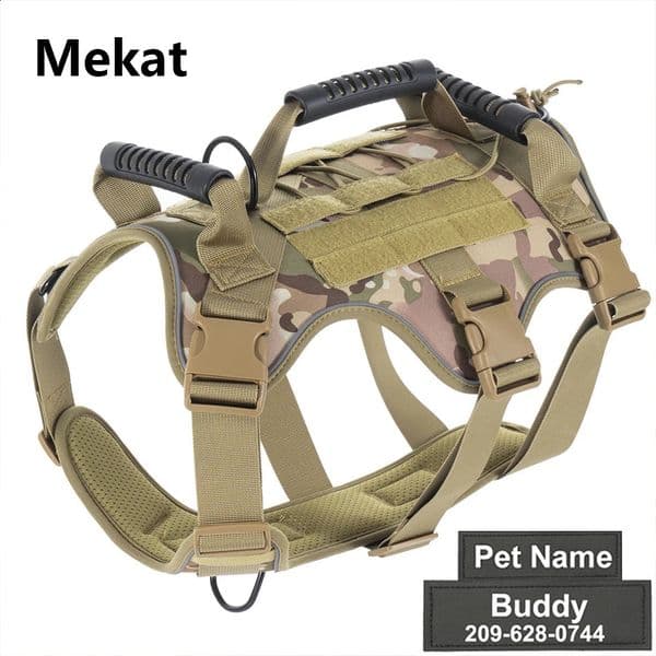 Pets Dogs Leash Harnesses Custom Name Harness And Straps Training Collar For Puppy Small Big Pug Dogs Accessories Pet Supplies 240722