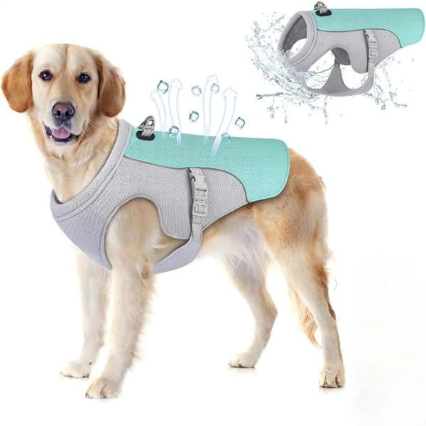 Dog Cooling Vest Dog Harness Cooling Jacket with Portable Water Bottle for Dog WalkingOutdoor Camping and Hunting Training KLYM 240722