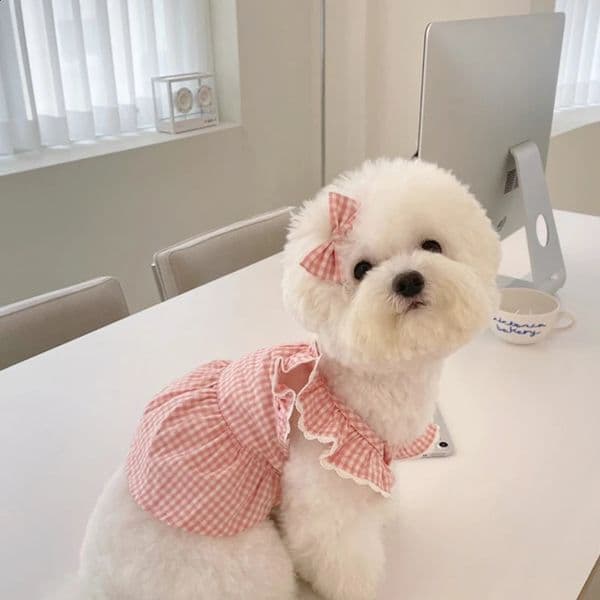 Dog Clothing Princess Pink Plaid Dress Pet Clothing Teddy Pomeranian Bears Small Dog Cat Skirt 240722