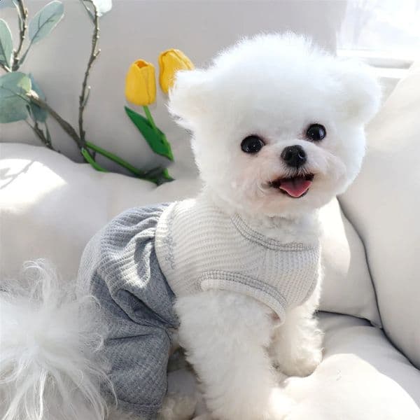 Summer Thin Dog Clothes Leashable Pet Fourlegged Coat Teddy Home Poodle Colour Blocking Pullover Supplies 240722