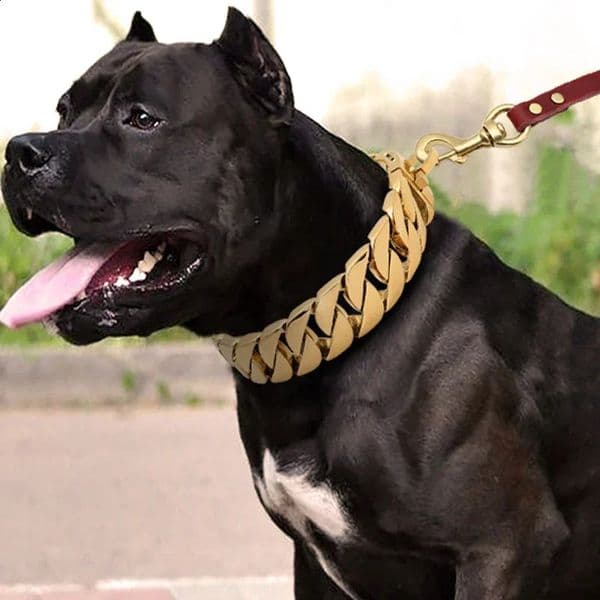Strong Metal Dog Chain Collars Stainless Steel Pet Training Choke Collar for Large Dogs Pitbull Bulldog Silver Gold Show 240722