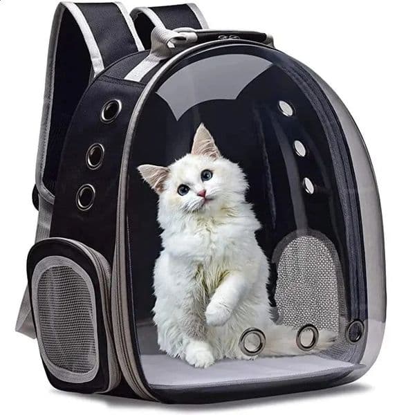 Cat Pet Backpack Transparent Capsule Bubble Pet Backpack Small Animal Puppy Kitty Bird Breathable Pet for Travel 240724