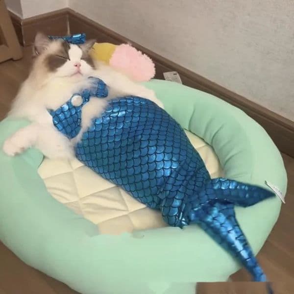 Summer Pet Clothing Mermaid Tail Skirt Cat Clothes Pography Props Cute Bikini Dog Funny Decoration Christmas Gifts 240723