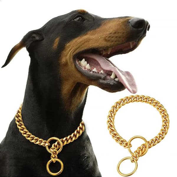Stainless Chain Collar Large For Metal Dog Dogs Medium Links Link Small Steel Gold Cuban Walking Training 240722
