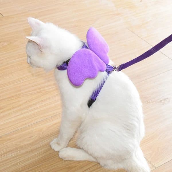 Dog Collar Designer Angel Wings Pet Harness And Leash Set For Cats Puppy Rabbit Cute Cat Harnesses Kitten Accessories Para Mascotas dog leash Lead Harn