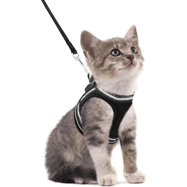 Cat Harness and Leash Set for Walking Escape Proof Adjustable Soft Kittens Vest with Reflective Strip for Cats Comfortable Out 240724