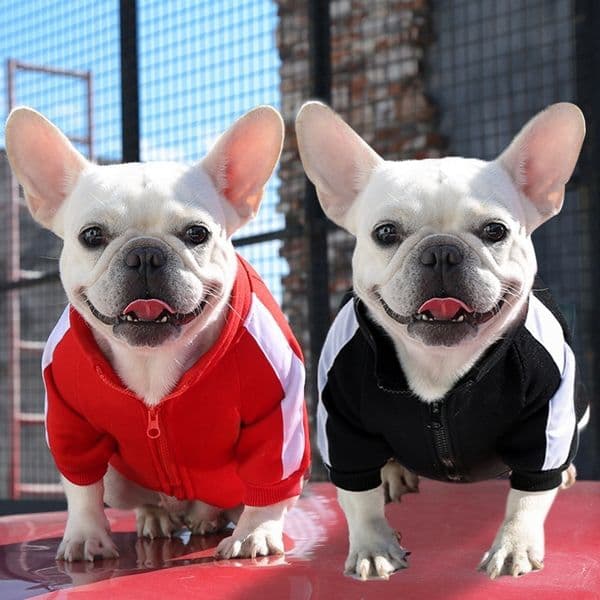 Pet Dog Sportswear Pet Hoodie Clothes Supplies Warm Winter Puppy Apparel Dog Jackets Clothing CH279