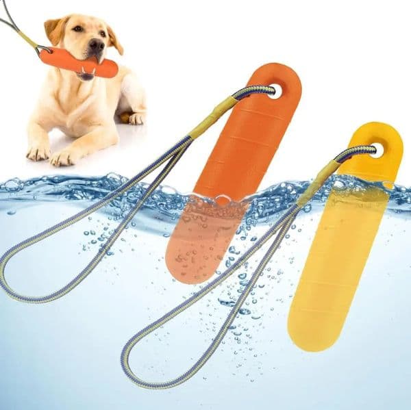 Floating Dog Water Toy Sturdy and Durable Interactive 2-Piece Catch Ball Bumper Ball Set with Durable Rope 240723