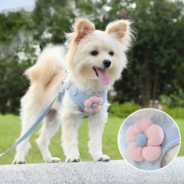 Adjustable Pet Dog Harness with 1.2m Leash Set Pet Collar Leash Outdoor Walking For Puppy Cats French Bulldog ChihuahuaL240725