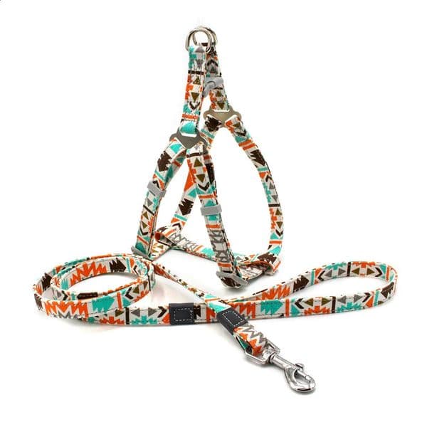 No Pull Dog Harness Set with 12m Leash Size Adjustable Canvas Print for Dogs Pitbull Leashes Supplies Pet 240724