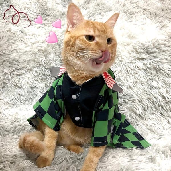 Cat Clothes Cosplay Costume Clothing for Cats Japanese Cartoon Characters Suit for Cat Funny Cat Clothes for Pets Tanjiro Kamado 240724