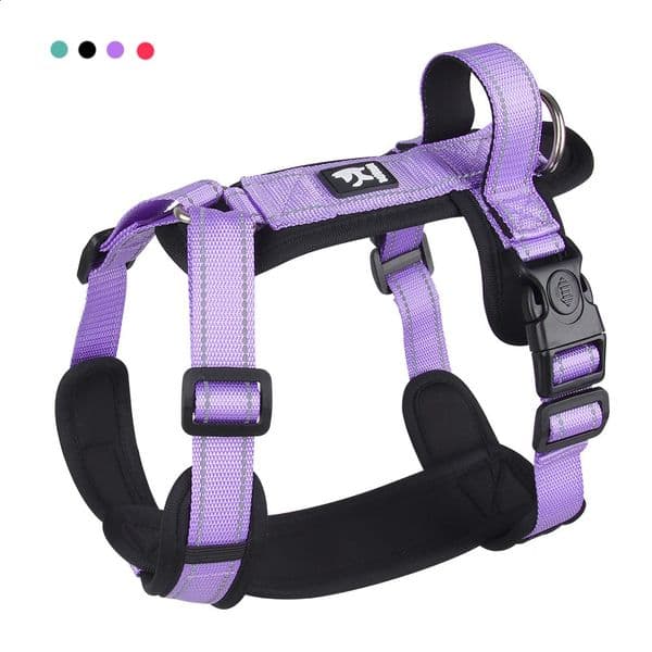 Pet Dog Harness Nopull Padded Vest Adjustable Reflective Chest Strap Safety Lead All Weathers For Small Medium Dogs 240724