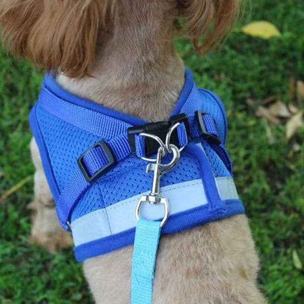 Vest Harness Leash Adjustable Mesh Vest Dog Harness Collar Chest Strap Leash Harnesses With Traction Rope XS/S/M/L/XLL240725