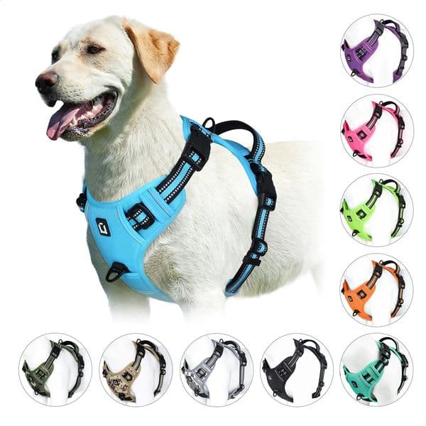 No Pull Dog Harness Adjustable Soft Padded Pet Vest with Easy Control Handle 240724