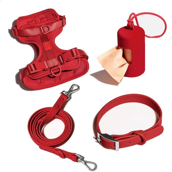 Dog Harness and Leash Set No Pull Vest PVC Waterproof Collar for Small Medium Large Dogs 240724