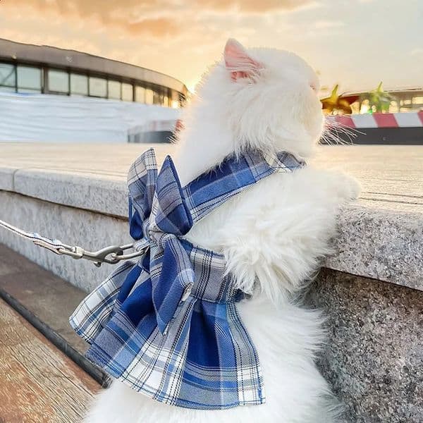 Bow Puppy Cat Dresses Summer Pet Clothes Fashion Plaid JK Dress with Leash Sets for Small Dogs Cats Kitten Clothing ropa gato 240724