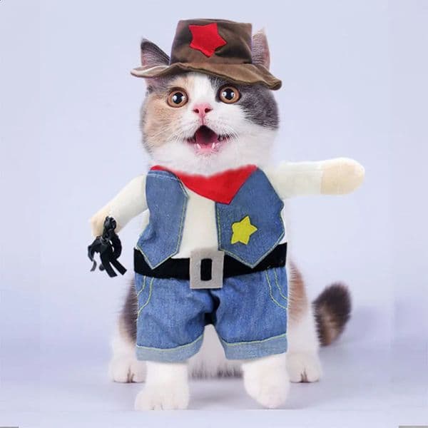 Funny Halloween Costume Cowboy Clothes Pet Dog Costumes for Small Dogs Cosplay Cat Party Accessories