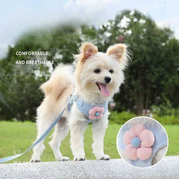 Dog Harness with 1.2m Leash Set Adjustable Pet Harness For Puppy Cats French Bulldog Chihuahua Outdoor Walking Lead LeashL240725