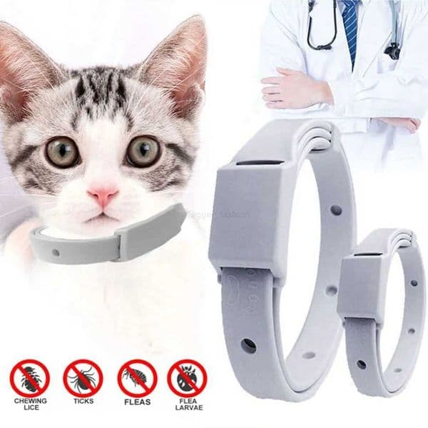 Anti Flea Tick Collar For Cat Small Dog Antiparasitic 8Month Protection Adjustable Puppy Kitten Collar Breakaway Pet AccessoriesL240725L240725