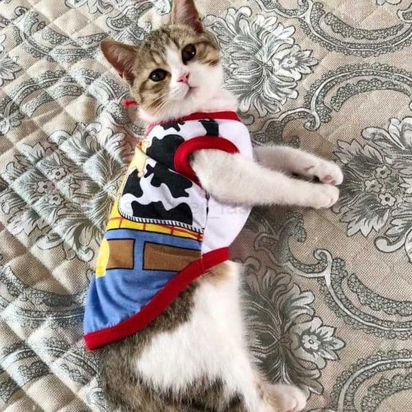 Cute Sphynx Cat Shirt Vest for Cats Gotas Summer Breathable Pet Clothes Clohting Katten Kedi Mascotas Costume Dog Suit Ropa ParaBk270726