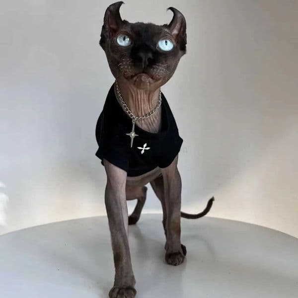 Fashion Cotton Vest for Sphynx Cat Clothes Black White Shirt Short Sleeves for Kittens Soft Coat for Devon Rex Costume in SummerB270726