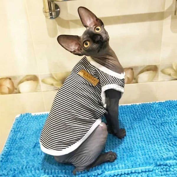Summer Cat Clothes Cotton Striped Vest Pet Cats T Shirt Clothing For Cat Outfit Shirt Pet Clothes Cute Kitten Puppy Costume 25S2B270726