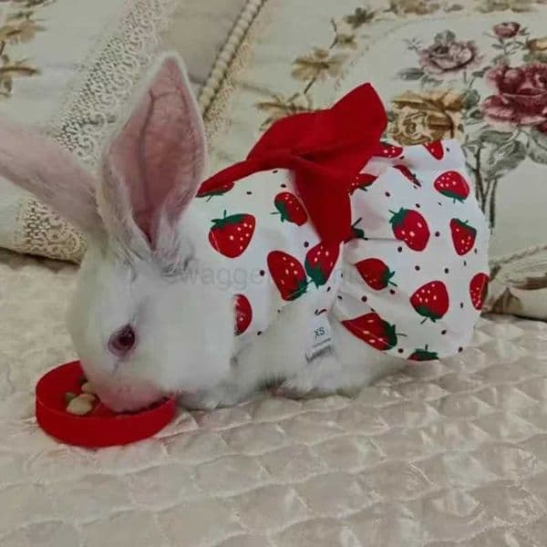 Cute Print Rabbit Clothes Summer Pet Dresses with Bow for Cats Rabbits Small Animals Clothing Outfit Bunny Dress Pet SuppliesB270726