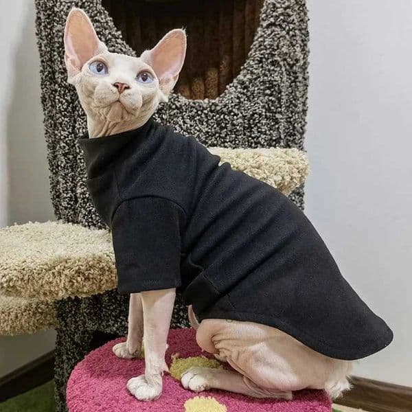 Hairless Cat Clothes Winter Pet Clothing for Cats Apparels Coats Soft Sweater Hoodie Animals Spring Pet Supplies B270726