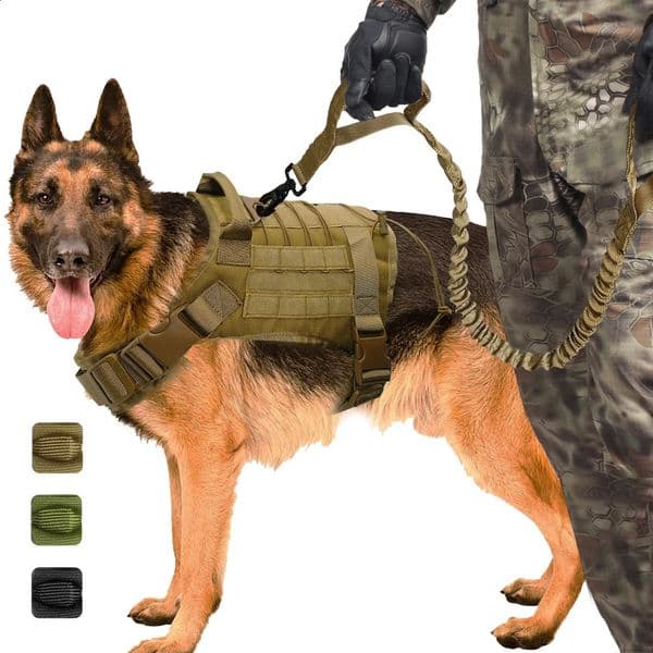 Military Tactical Dog Vest Harness K9 Working Dog Nylon Bungee Leash Lead Training Running For Medium Large Dogs German Shepherd 240717