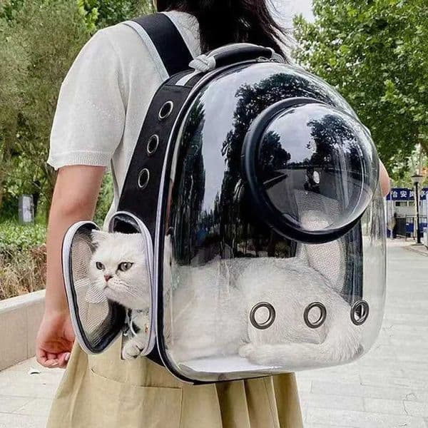 Pet carrying space bag pet backpack breathable portable transparent backpack pet dog transportation carrier space capsule bagX240729