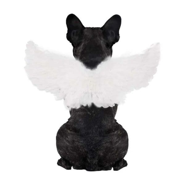 Cute Angel Wings Dog Clothes for Small Dogs Puppy Spring Summer Pet Supplies French Bulldog Halloweeen Dog CostumeXJ240731