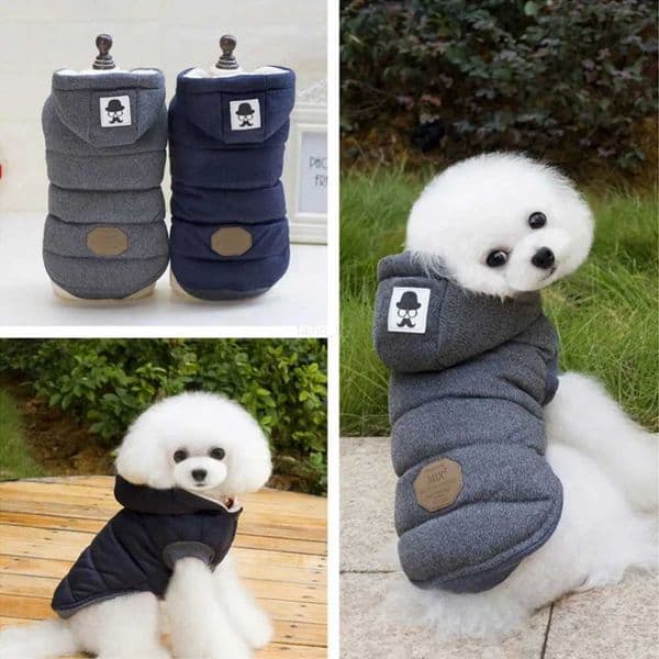 Thickening Warm Dog Clothes Small Dogs Jacket Outfit Winter Pet Hooded Coat Cat Puppy Hoodie Poodle Schnauzer Pets CostumeXJ240731