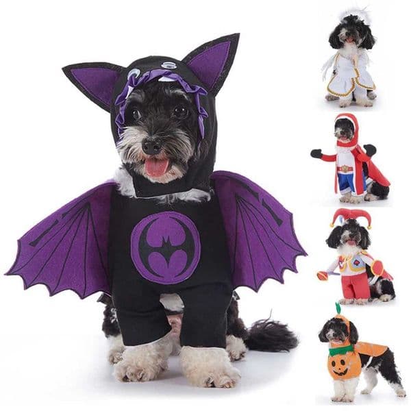Halloween Costumes for Small Dogs Cute Funny Cosplay Pet Dog Suit Holiday Dress Up Dog Clothes Adjustable Riding Costume PumpkinXJ240731