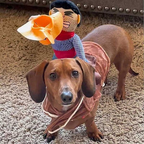 Pet Cowboy Costume Halloween Funny Cosplay Puppy Clothes For Small Medium Dogs Cats Dachshund Yorkshire Beagle Party OutfitsXJ240731