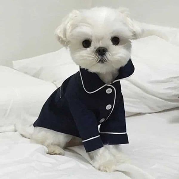 Dog Pajamas Summer Dog Clothes for Small Dogs Chihuahua Pet Shirt Clothing Ropa Perro Dogs Coat Jacket Puppy Costume YorkshireXJ2504